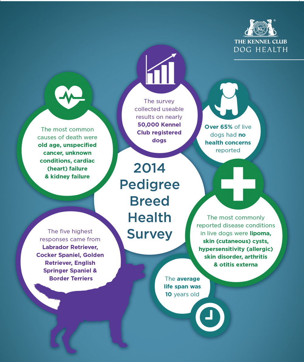 2014 Pedigree breed health survey infographic