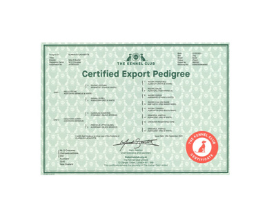 Duplicate Application for an Export Pedigree  Certificate