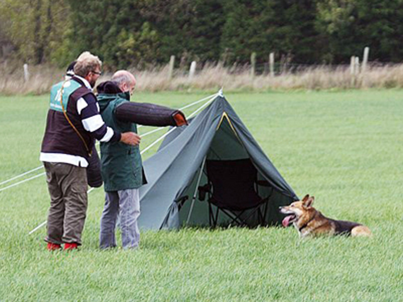 Dog laying down in the field with owner looking at dog