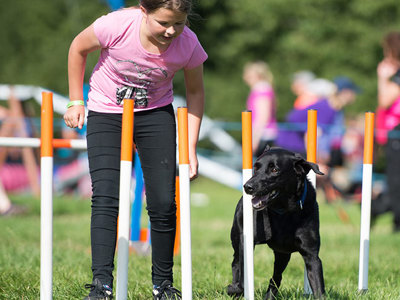 Dog and handler on agility course