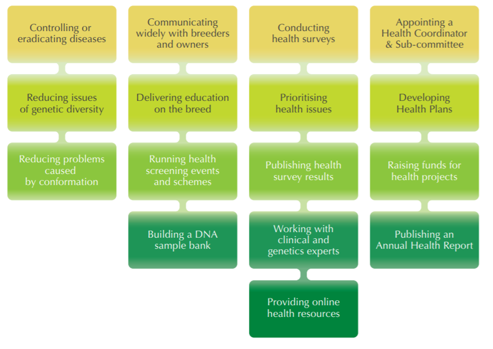 Breed health improvement strategy - diagram