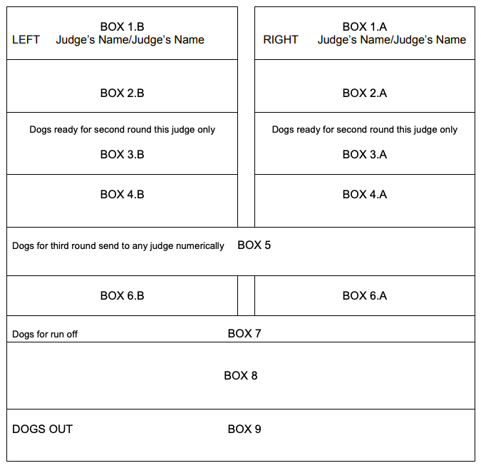 example of judging book for Retrievers