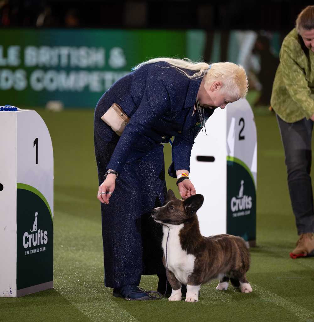 Vulnerable Breed 2023 winner - credit Yulia Titovets and The Kennel Club | Crufts 