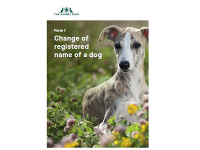 Cover image for form - change name of a registered dog