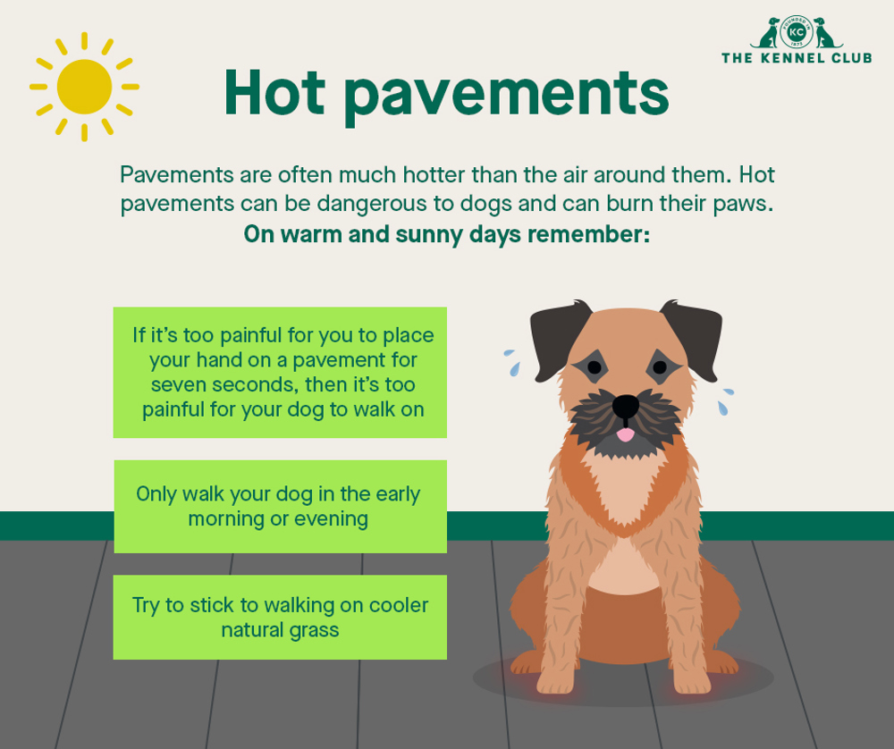 Infographic about hot pavements