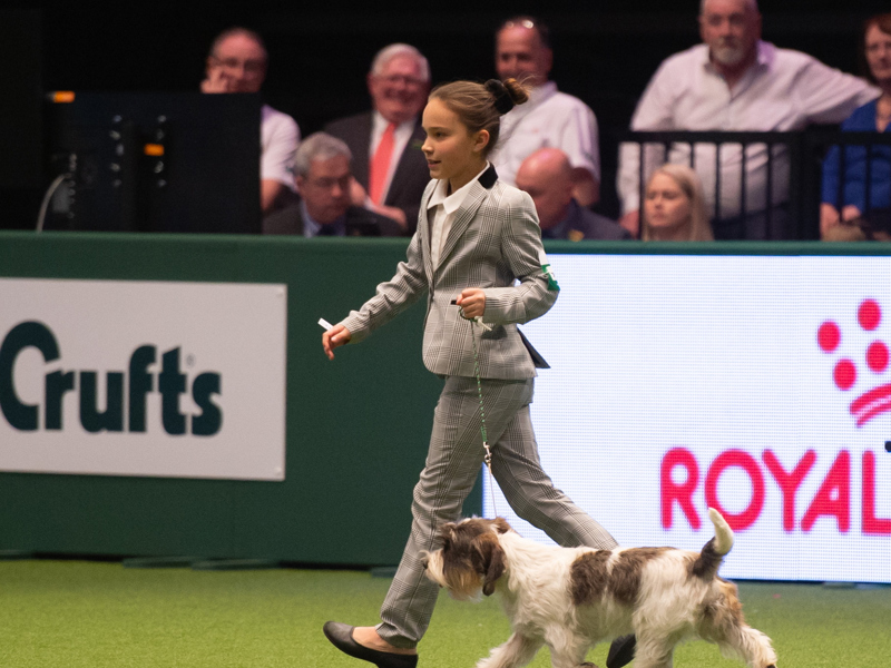 YKC member showing at Crufts