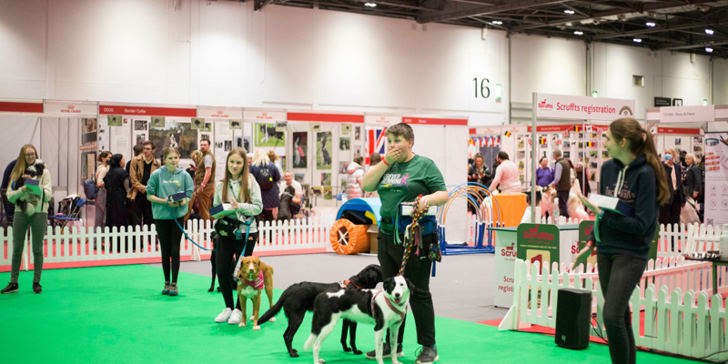 Young Person of The Year Award at Crufts