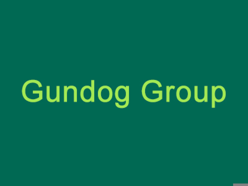 Gundog group graphic