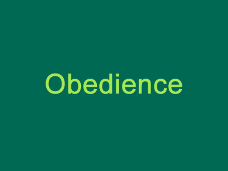 Obedience graphic