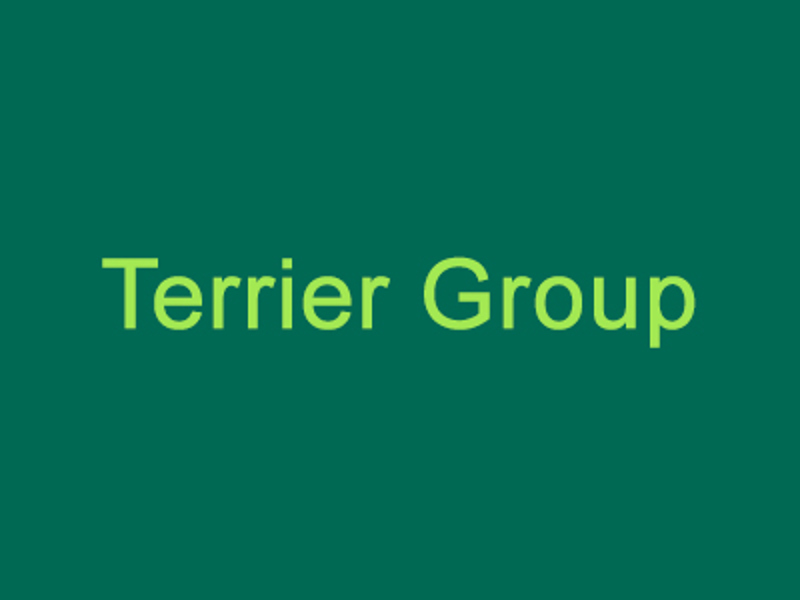 Terrier group graphic