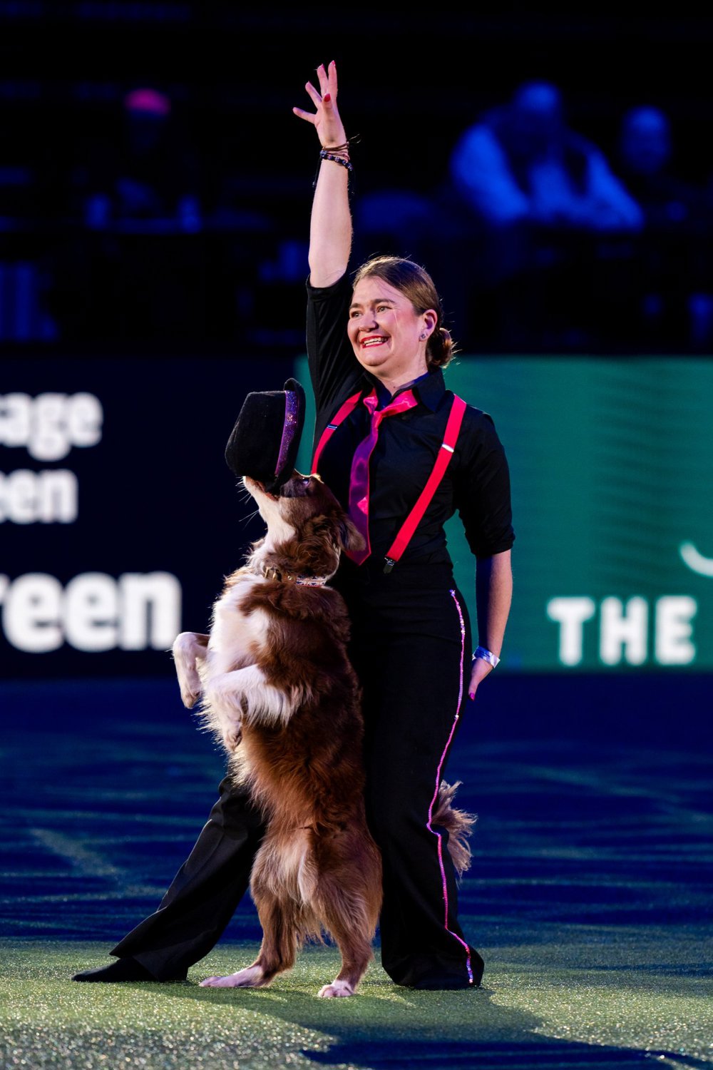 Border Collie from Nottinghamshire crowned winner at Crufts 2024. Heelwork to music competition Credit BeatMedia | The Kennel Club