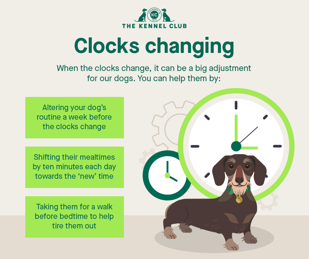 Infographic about clocks changing