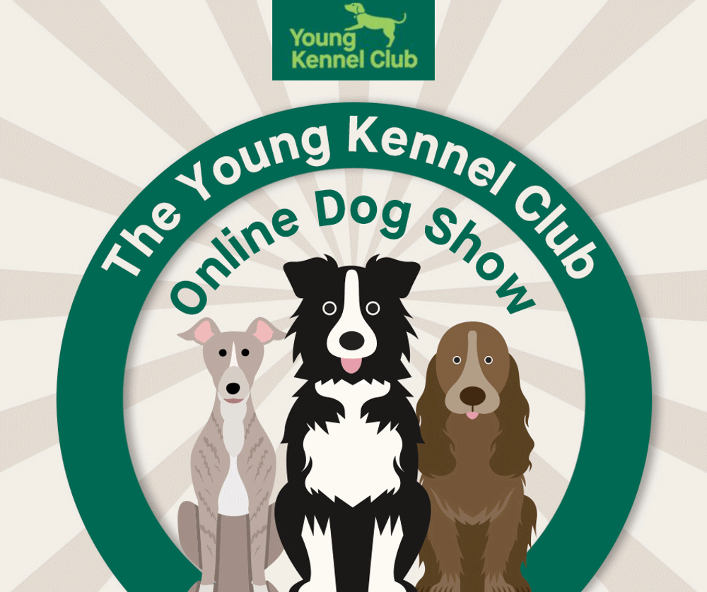 YKC Online Dog Show graphic