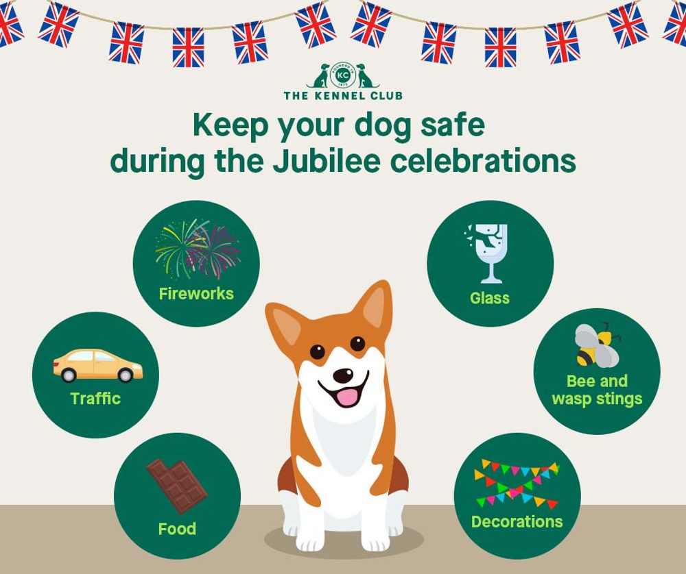 Infographic about keeping your dog safe during the Jubilee celebrations