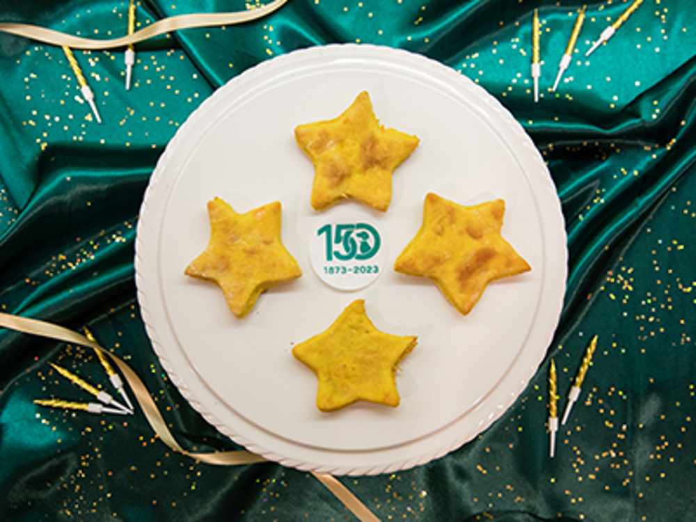 Star shaped cookies on a plate