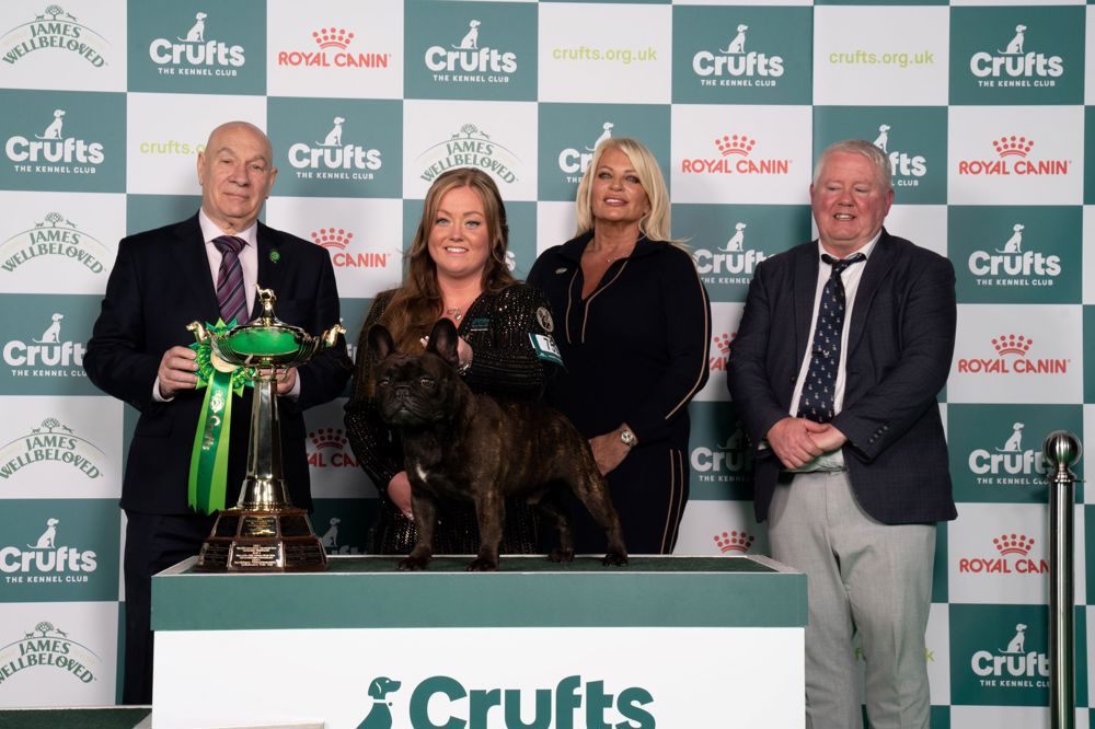Utility Group winner Crufts 2024. Abbie and Dean Cund with Elton, a French Bulldog - Utility Group winner. Credit BeatMedia and The Kennel Club