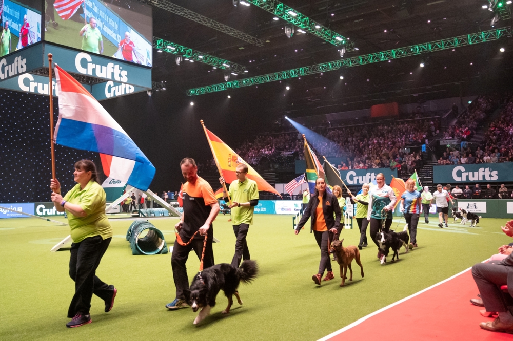 Entries for Crufts 2024 up on last year | The Kennel Club 
Crufts, an international affair. Credit The Kennel Club