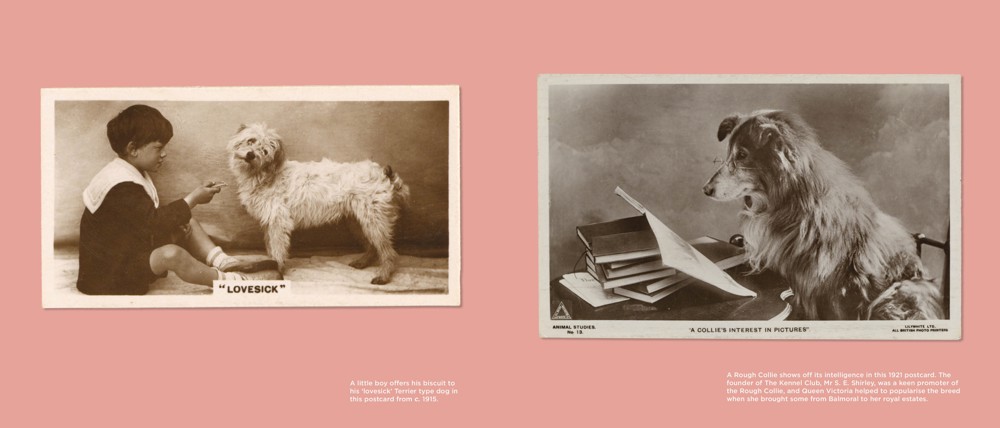 Best in Books: Kennel Club releases historic canine photograph collection