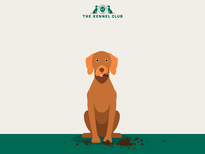 Why does my dog eat soil? | The Kennel Club